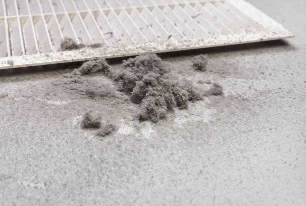 Best Ventilation Cleaning Services  in Pennington Gap, VA